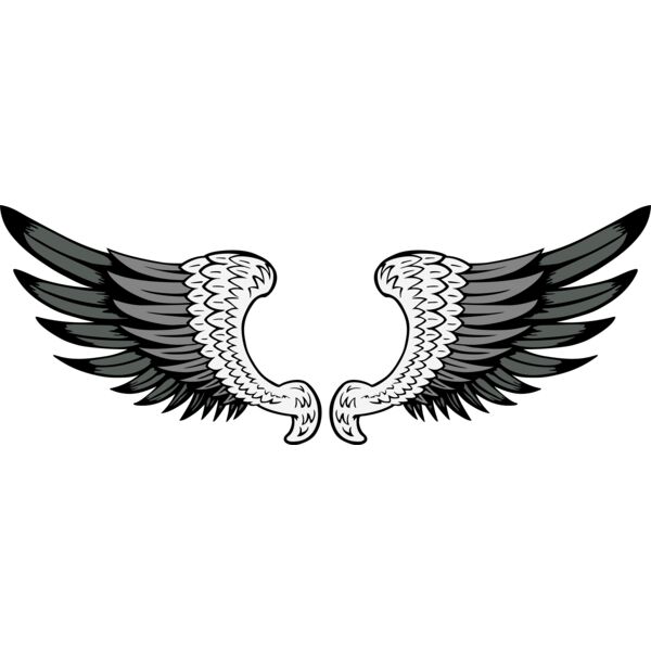 ES2wings029clr Thumbnail