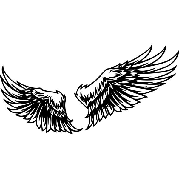 ESwings029bw Thumbnail