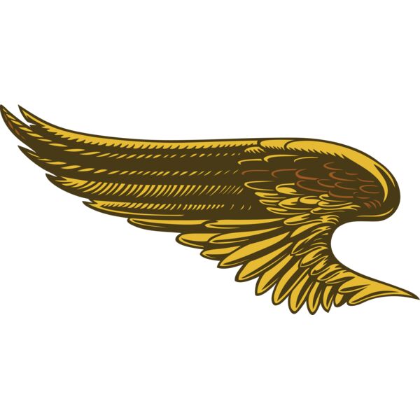 ES2wings027clr Thumbnail