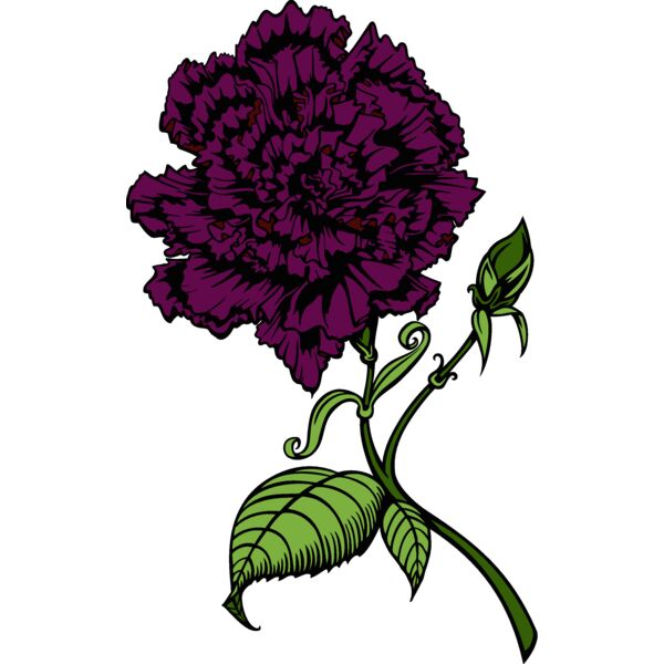 es3flower01clr Thumbnail