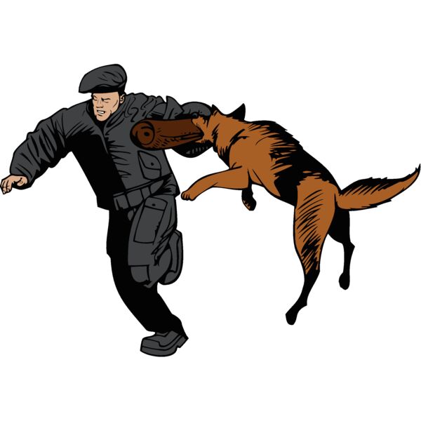 german shepherd 04 Thumbnail