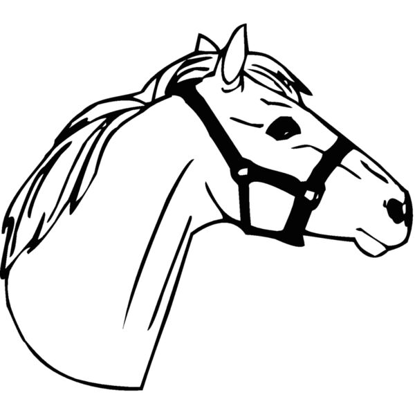 horsehead02 Thumbnail