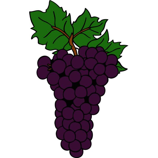 grapes1 Thumbnail