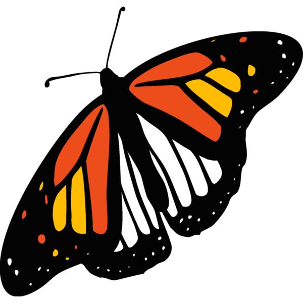 butterfly2 Thumbnail