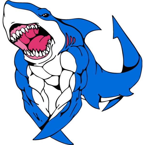 sharkdude Thumbnail