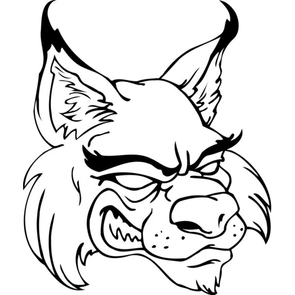 wildcathead02 Thumbnail