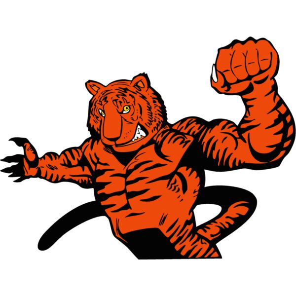 tigermsct01 Thumbnail