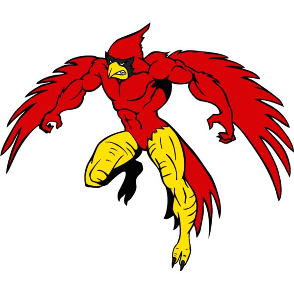 cardinalmn3 Thumbnail