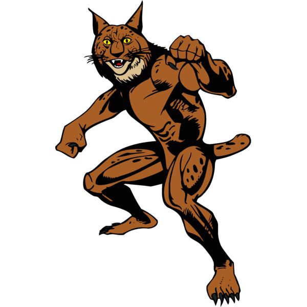 wildcatbc3 Thumbnail