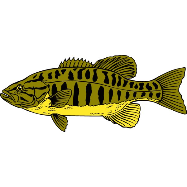 fish smallmouthbass 2 Thumbnail