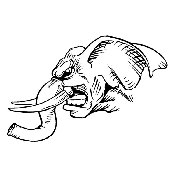 elephanthead06 Thumbnail