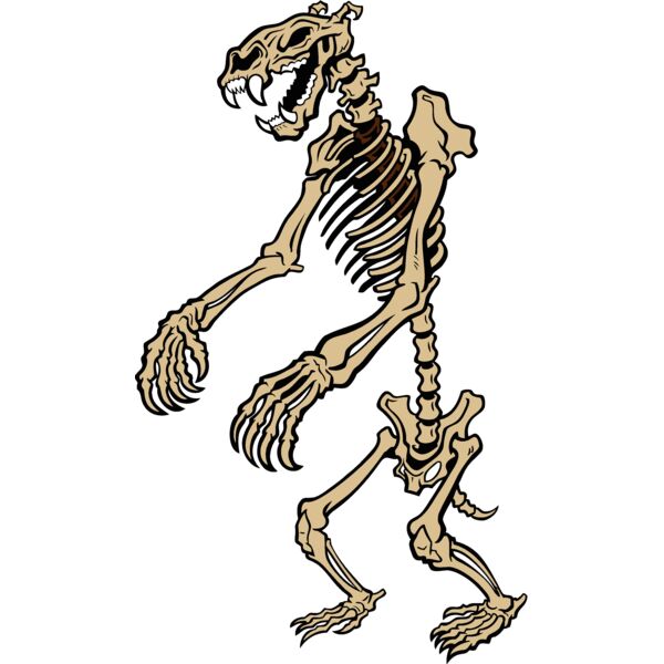 bear skeleton Thumbnail
