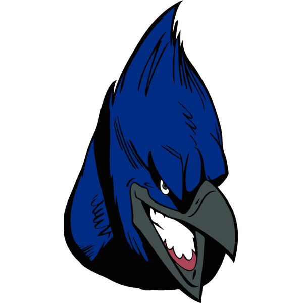bluejay22 Thumbnail