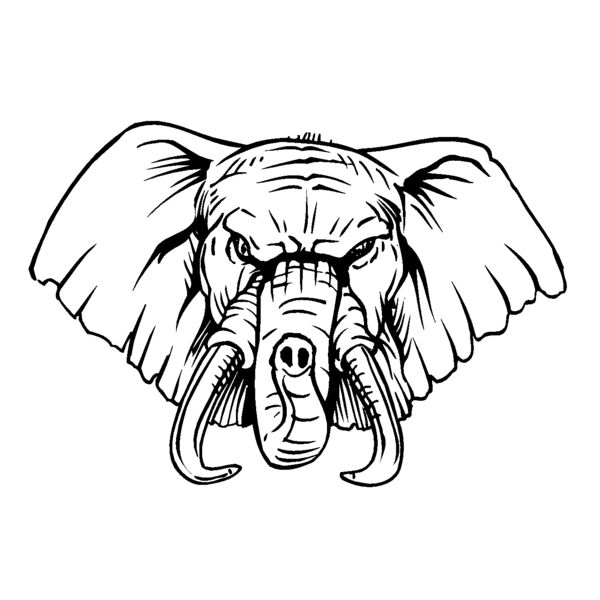 elephanthead15 Thumbnail