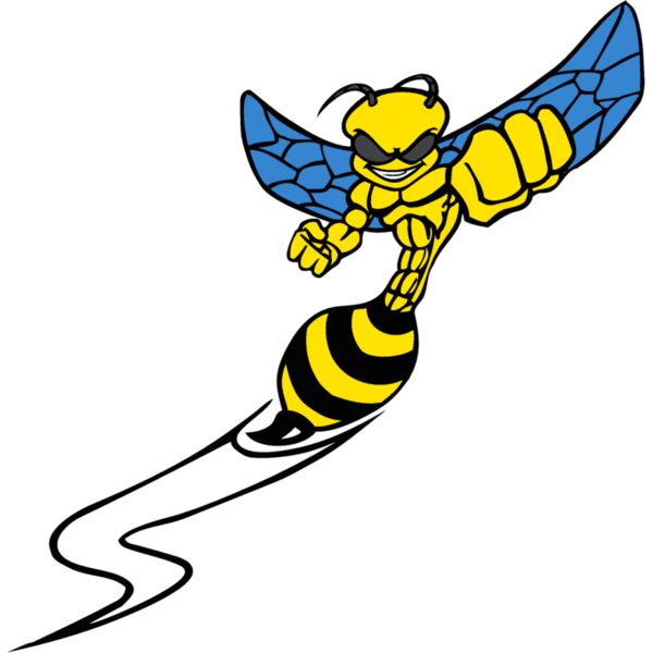 yellowjacket3 Thumbnail