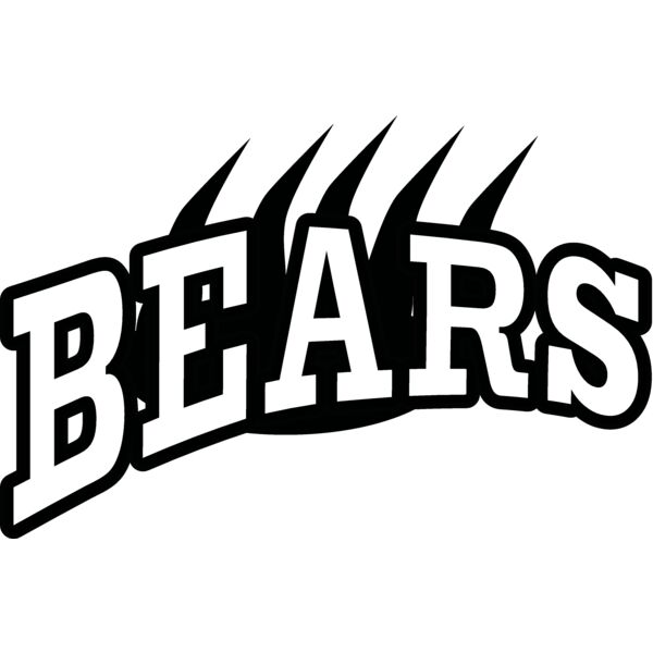 bears Thumbnail