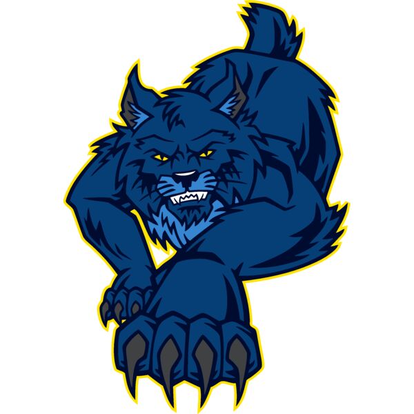 wildcat01v4clr Thumbnail