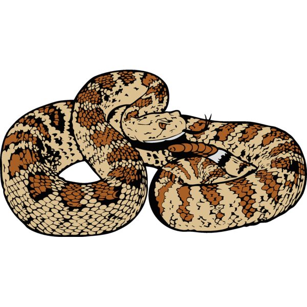 snake3 Thumbnail