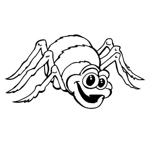 spider Thumbnail