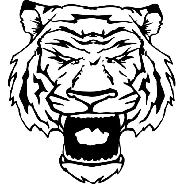 tigerhd23 Thumbnail