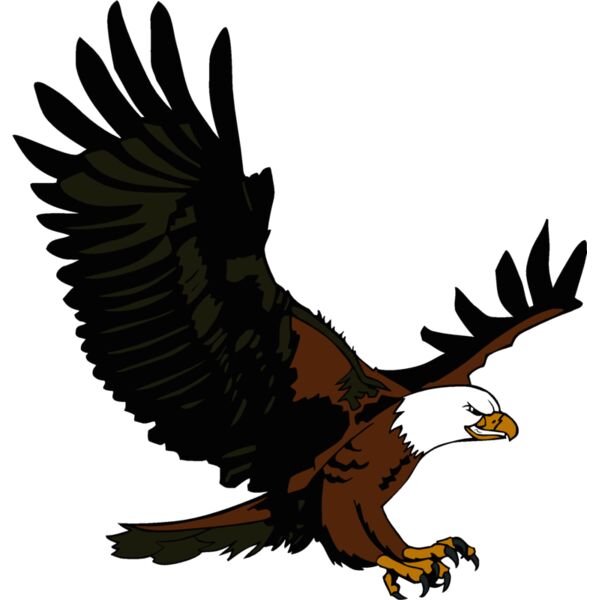 eaglefly1 Thumbnail